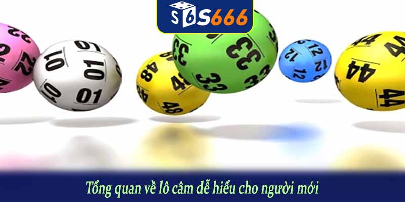 Tổng quan về lô câm dễ hiểu cho người mới